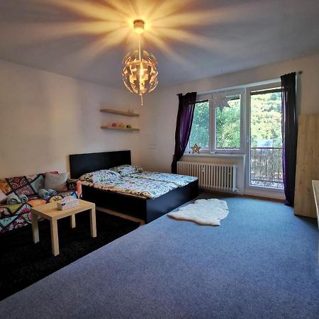 Cely Apartman Podlesi 54M2 S Dvema Balkony A S Novou Manzelskou Posteli, Zatim Neni Na Fotkach Apartment Бърно Екстериор снимка