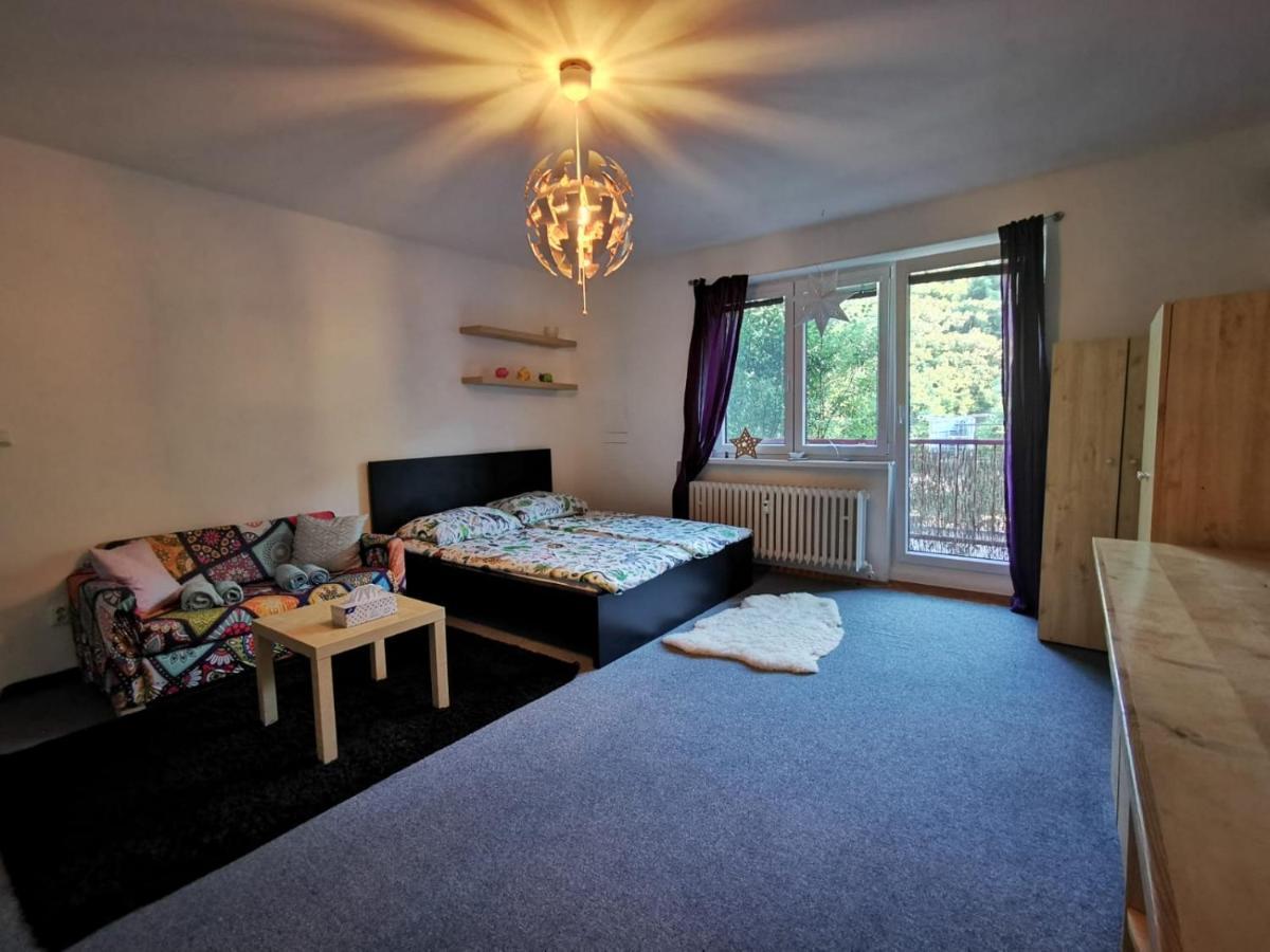 Cely Apartman Podlesi 54M2 S Dvema Balkony A S Novou Manzelskou Posteli, Zatim Neni Na Fotkach Apartment Бърно Екстериор снимка